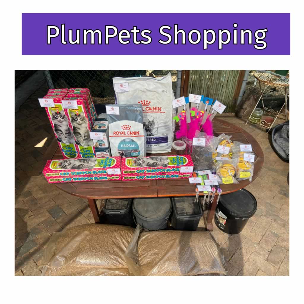 PlumPets Animal Shelter